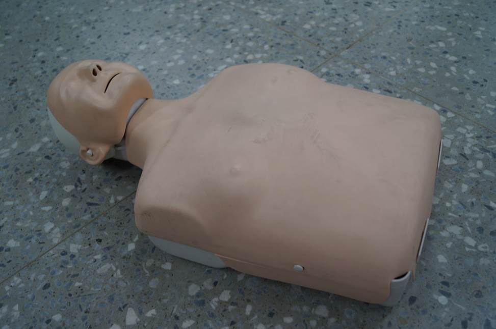半身安妮(CPR訓練模型)